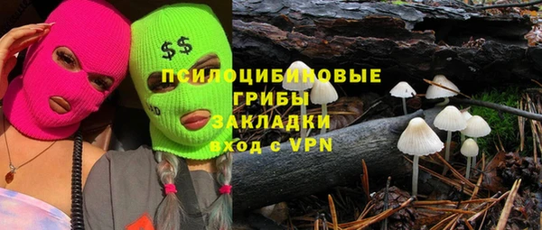 мдпв Белокуриха
