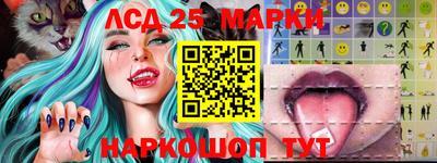прущие грибы Малгобек