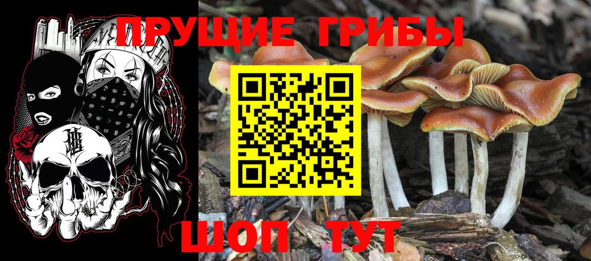 Псилоцибиновые грибы MAGIC MUSHROOMS Валуйки
