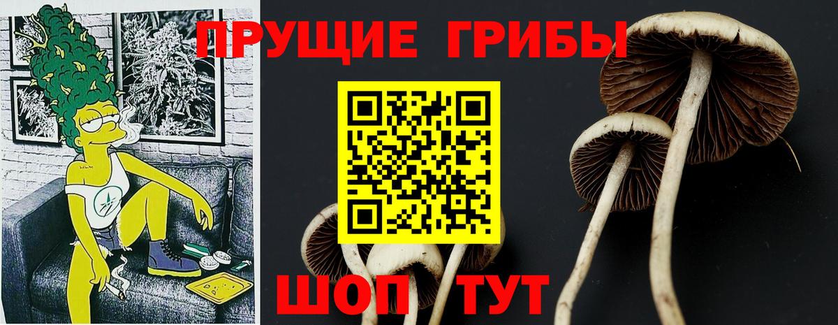 Галлюциногенные грибы мицелий  Вход с VPN  Валуйки 